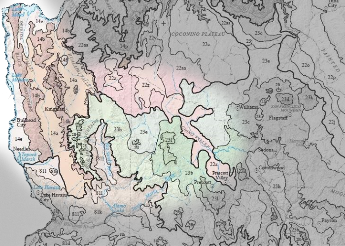 a biome map of Northwest Arizona with Dirt Road Real Estate's range highlighted.