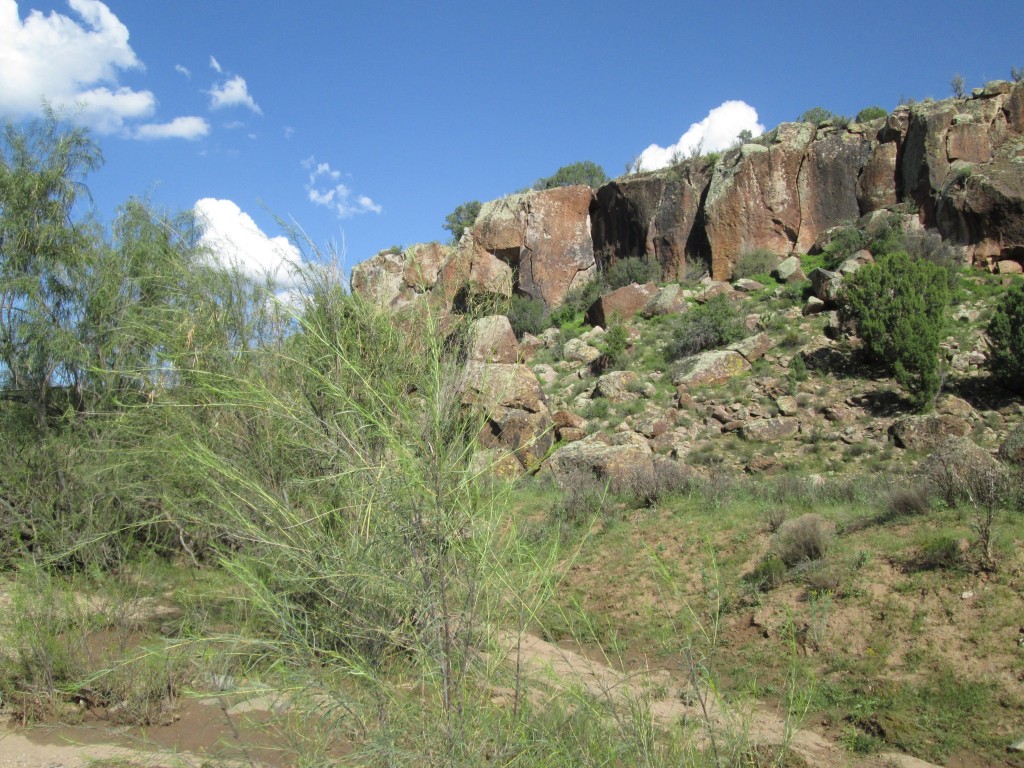 A scenic view of a canyon.