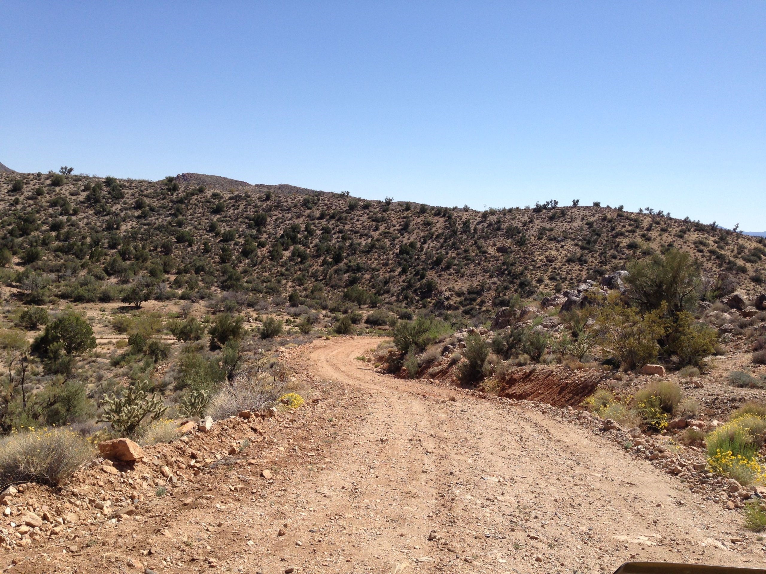 A dirt road curves into the distance..