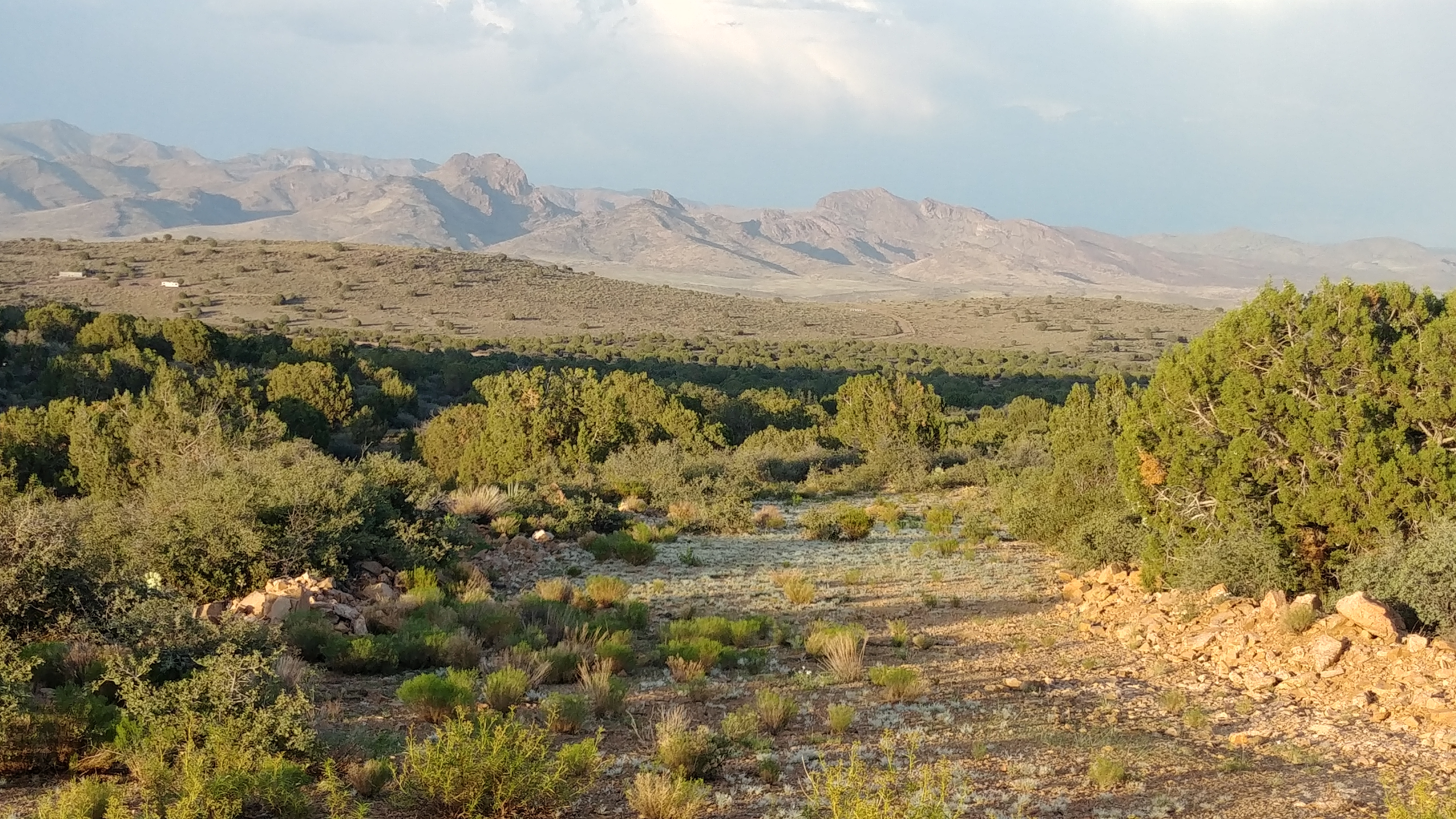 looking up at mountains from the desert floor..