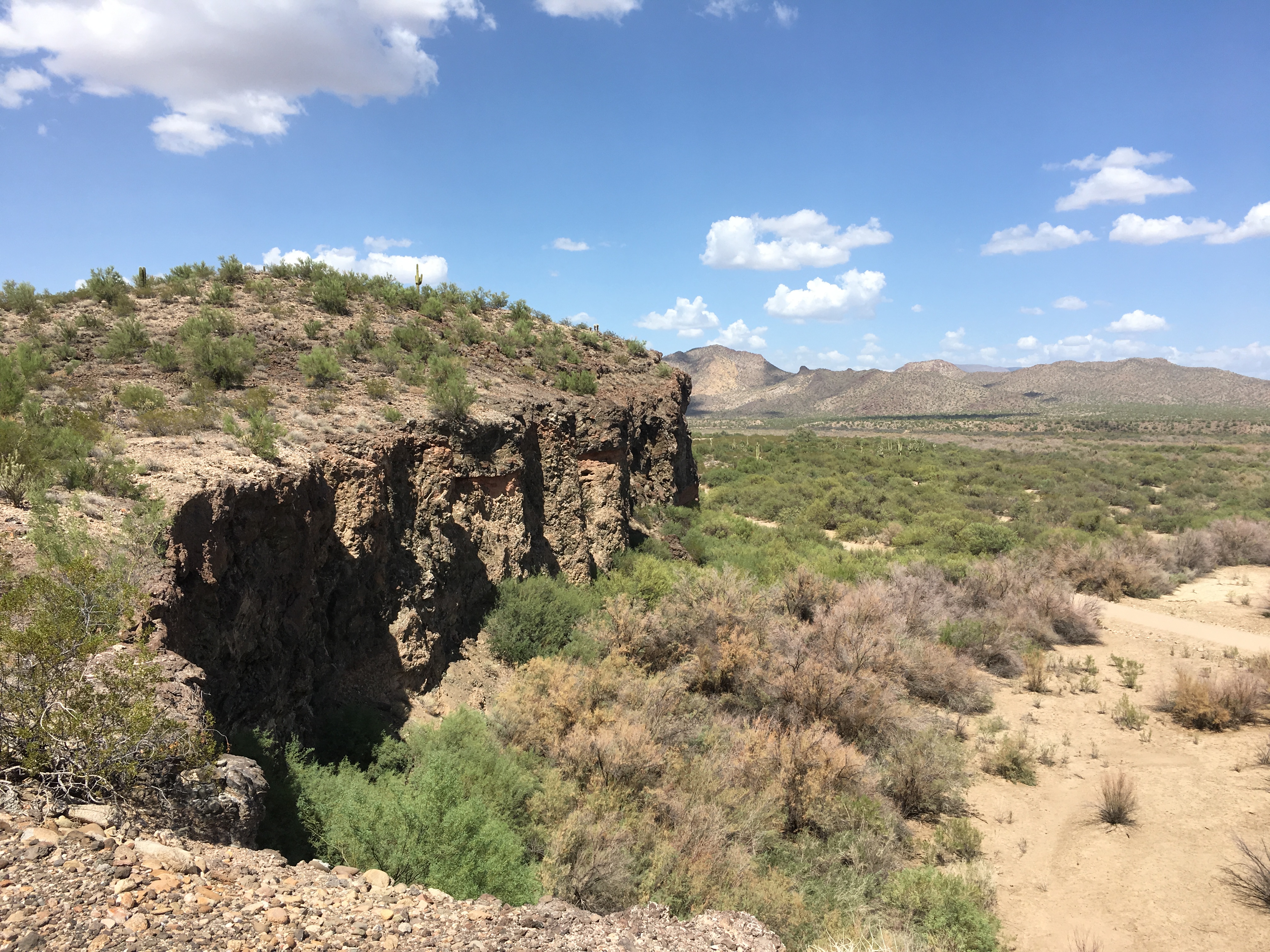 A view of the desert floor standing atop a bluff..