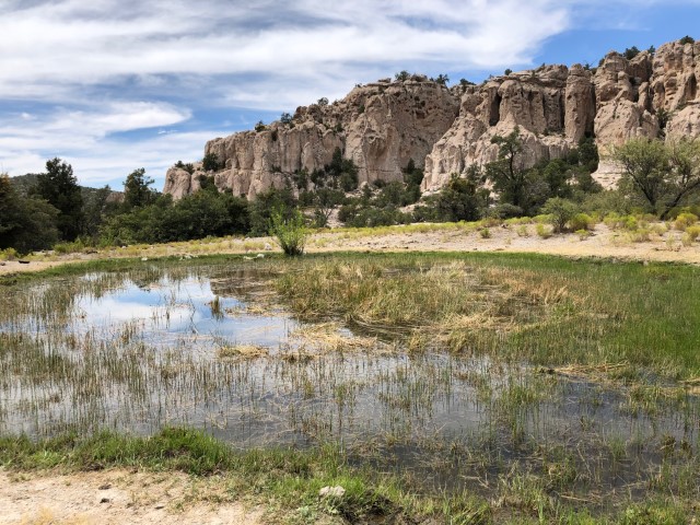 A shallow spring with basalt cliff in the background..