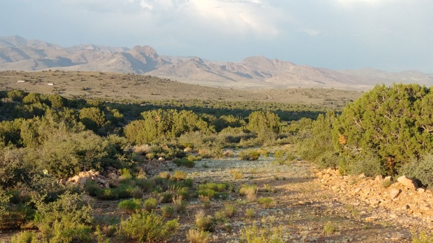 looking up at mountains from the desert floor..
